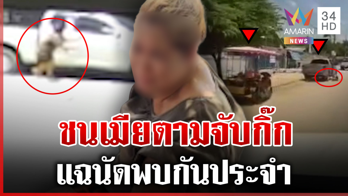 ผัวซุกสาวขับรถชนเมียเจ็บ แฉนัดพบกันใต้ต้นไม้ประจำ