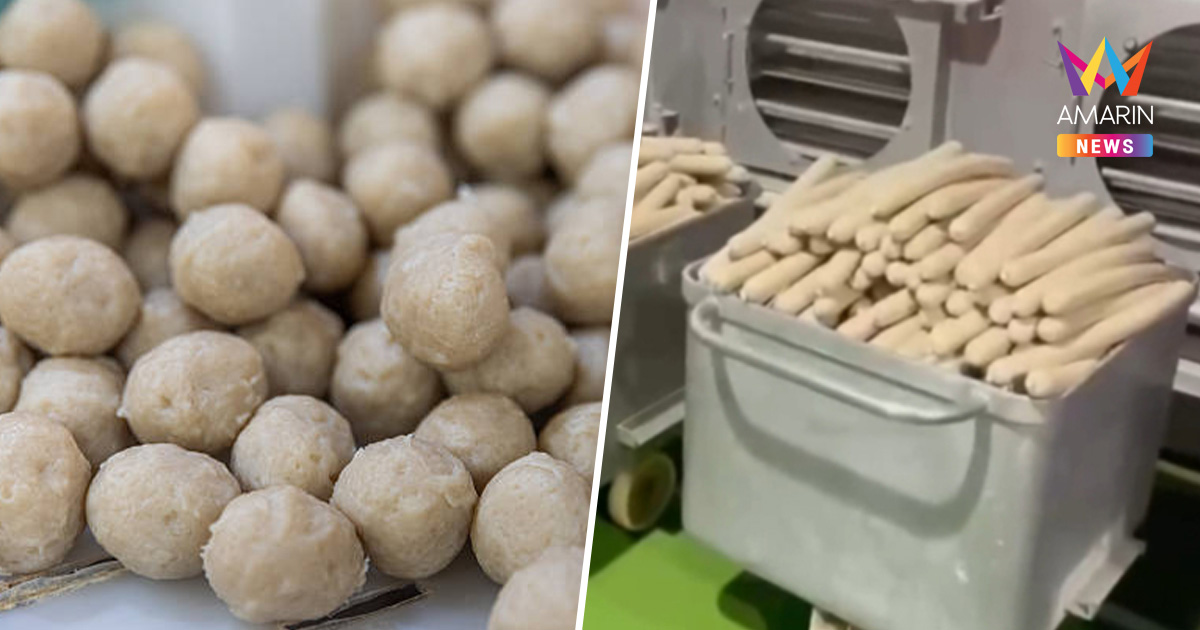 อย.เปิดโผ 20 ยี่ห้อ "ลูกชิ้น-หมูยอเถื่อน" เตือนพบในตู้เย็นให้ทิ้งทันที