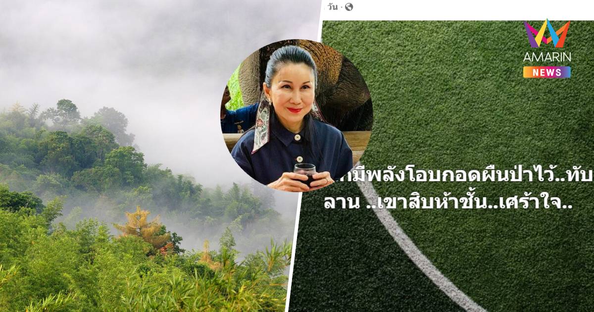 เศร้าใจ !"หนูนา"โพสต์อยากมีพลังโอบกอดผืนป่าไว้"ทับลาน-เขาสิบห้าชั้น"