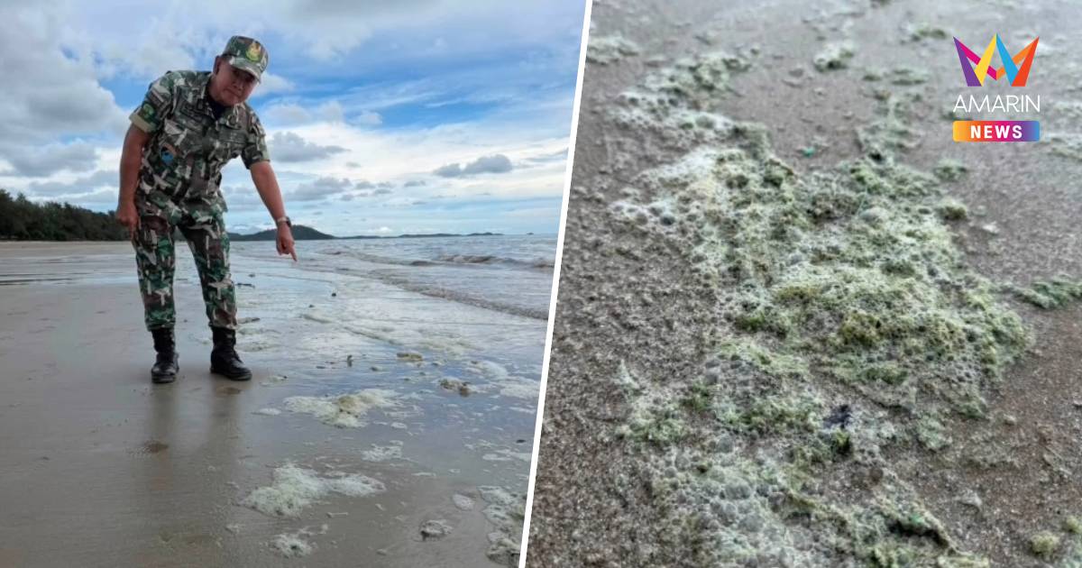 จนท.อุทยานฯ ยันฟองเขียวหาดแม่รำพึง ไม่ใช่คราบน้ำมัน