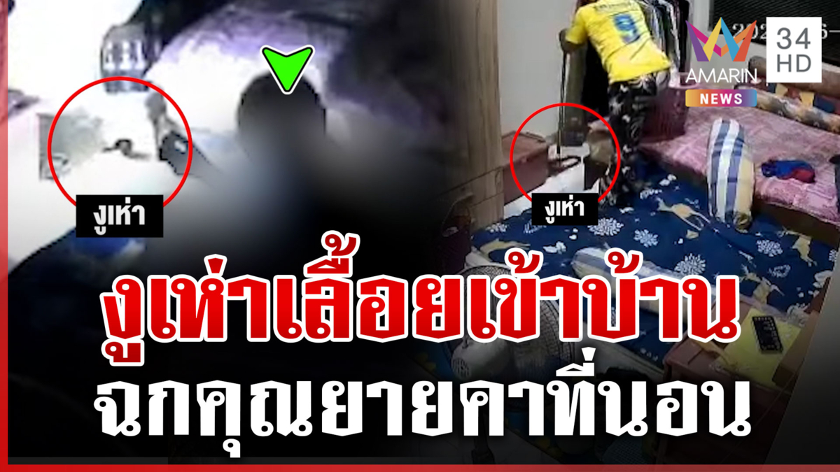 ระทึก! งูเห่าเลื้อยห้องนอน ก่อนฉกยายร้องลั่น