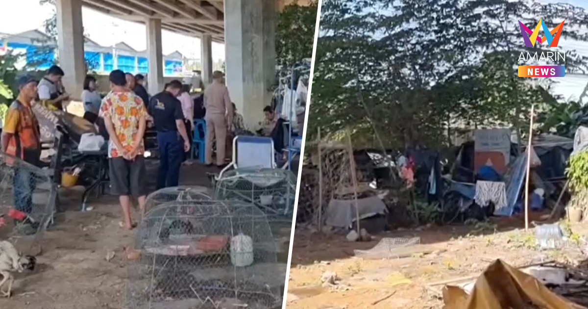 รุดช่วย น้อง 5 ขวบ นอนเพิงใต้สะพาน มอบทุนการศึกษา-จัดที่อยู่ใหม่