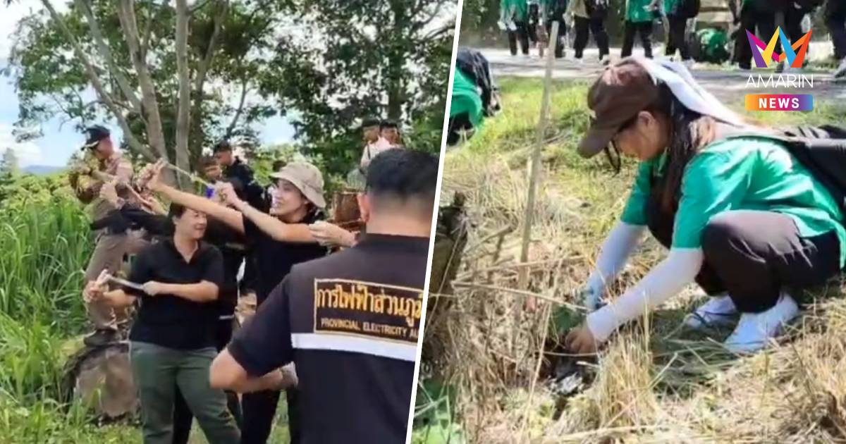 พลังเด็กวังน้ำเขียว 1,200 คน คืนชีพต้นลานสู่ป่าทับลาน