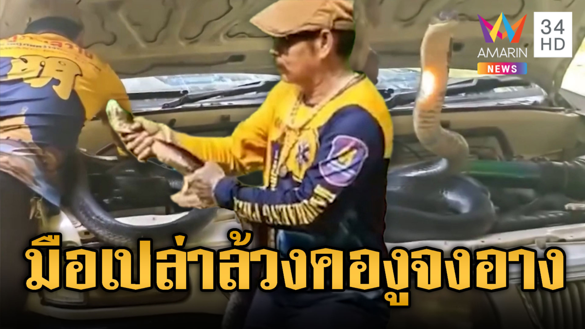 กู้ภัยมือเปล่า จับจงอางชูคอในเครื่องยนต์รถ