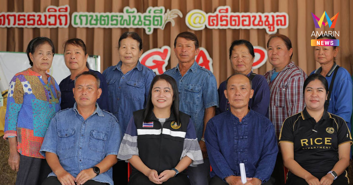 ข้าวแปลงใหญ่เชียงราย ข้าวคุณภาพ จากเมล็ดพันธุ์ข้าวคุณภาพดี