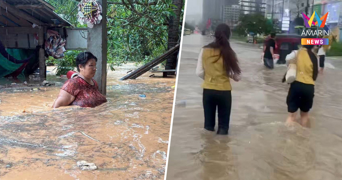 สีหนุวิลล์อ่วม! ฝนถล่มทำน้ำท่วมทะลัก-ต้นไม้โค่นทั่วเมือง
