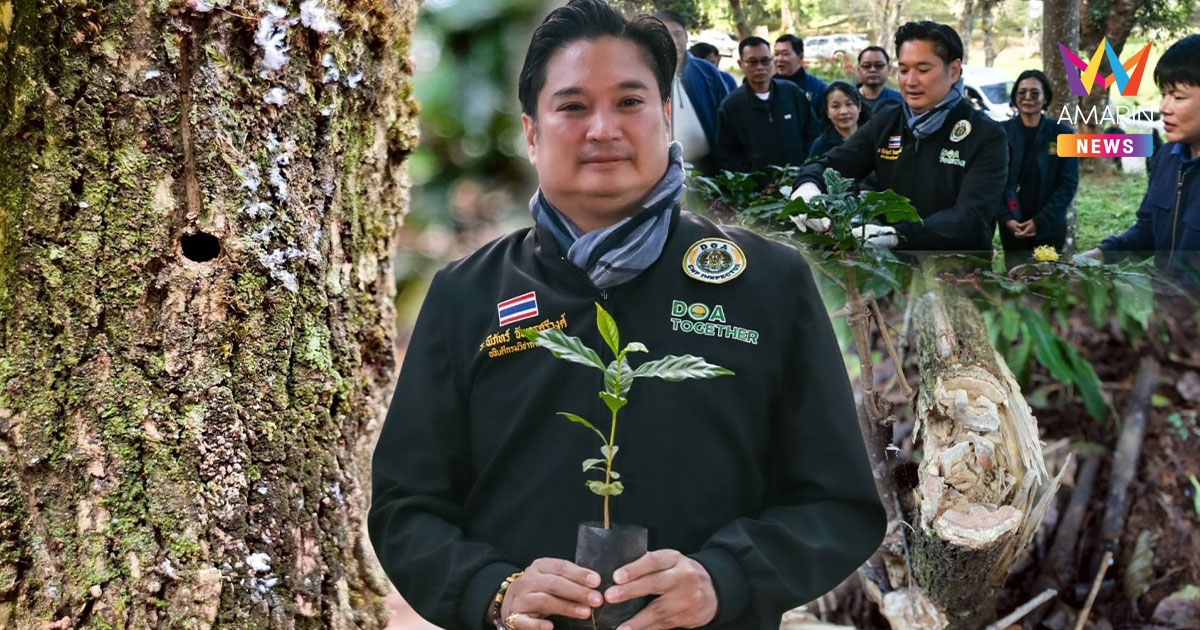 เตือนเกษตรกรรับมือ "ภาวะโลกร้อน-เอลนีโญ" ทำฝนทิ้งช่วง แนะข้อควรปฏิบัติ