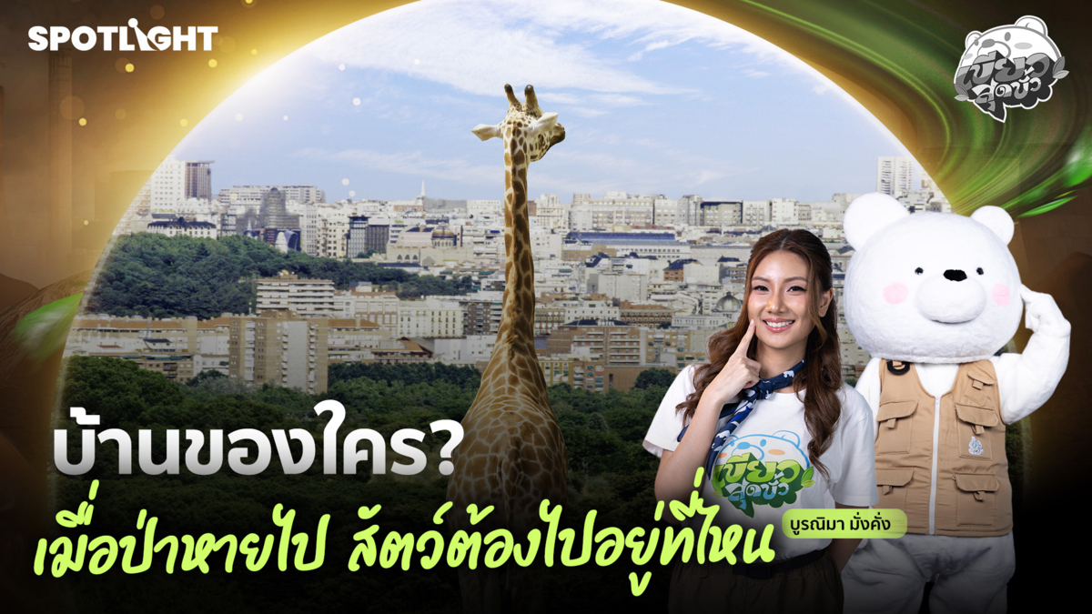 เขียวสุดขั้ว EP.14 | บ้านของใคร? เมื่อป่าหายไป สัตว์ต้องไปอยู่ที่ไหน