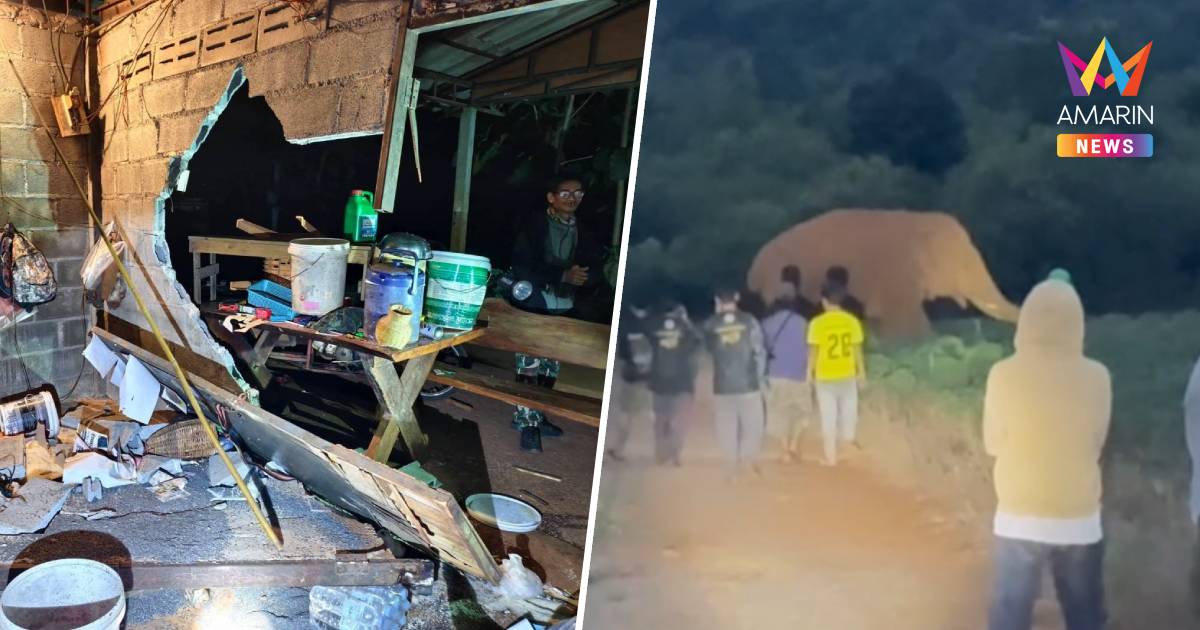 อาสาฯ ล้อมผลักดัน 5 ชม. "พลายเบี่ยงเล็ก" บุกกินข้าวสาร-พังบ้านยับ