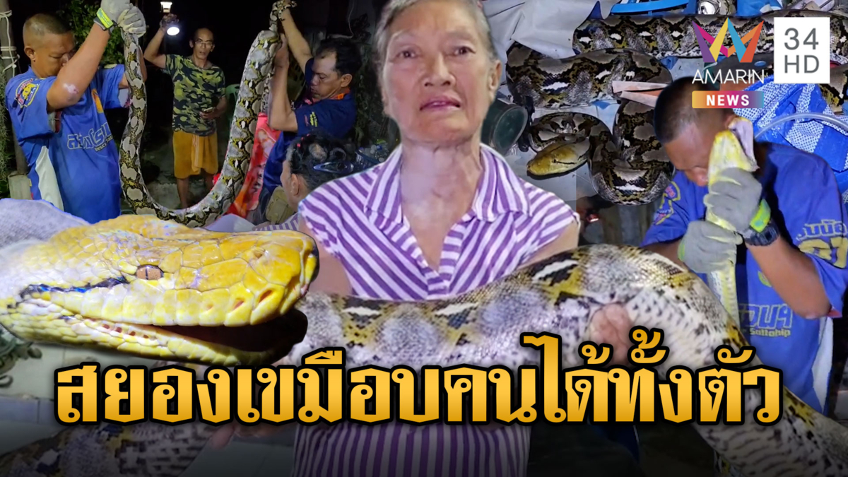“พญางูเหลือม” บุกบ้าน ขนาดนี้กินคนได้เลย