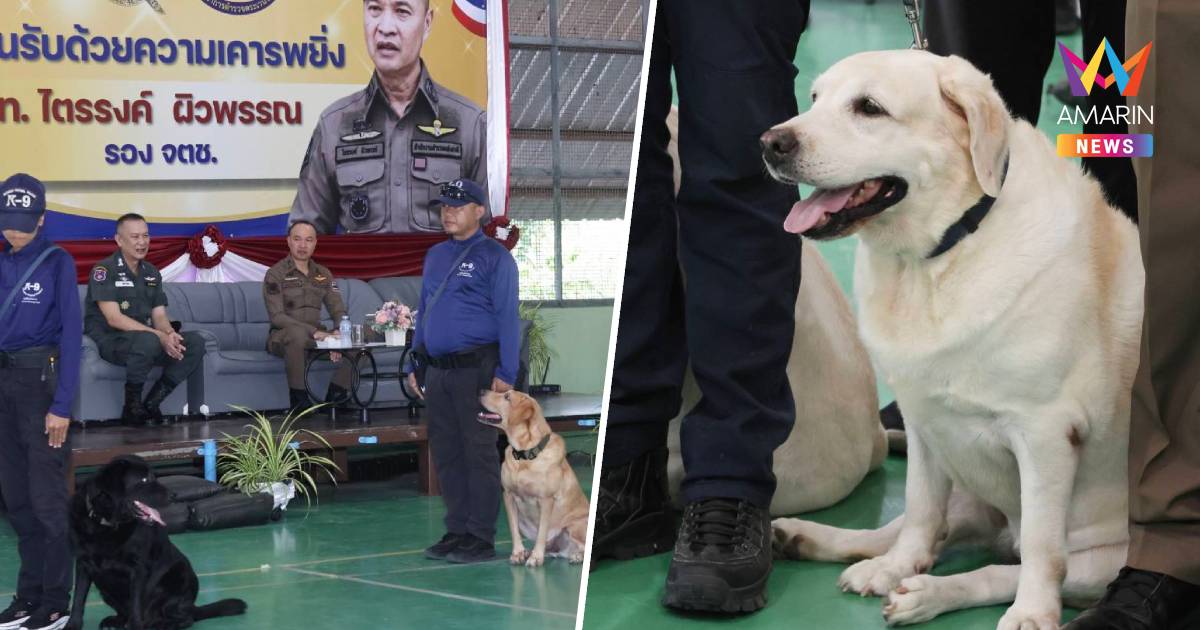 ตร.โชว์ศักยภาพ K9 ตัวตึงดมกลิ่น ดึงเสริมทัพสกัดยานรกข้ามชาติ