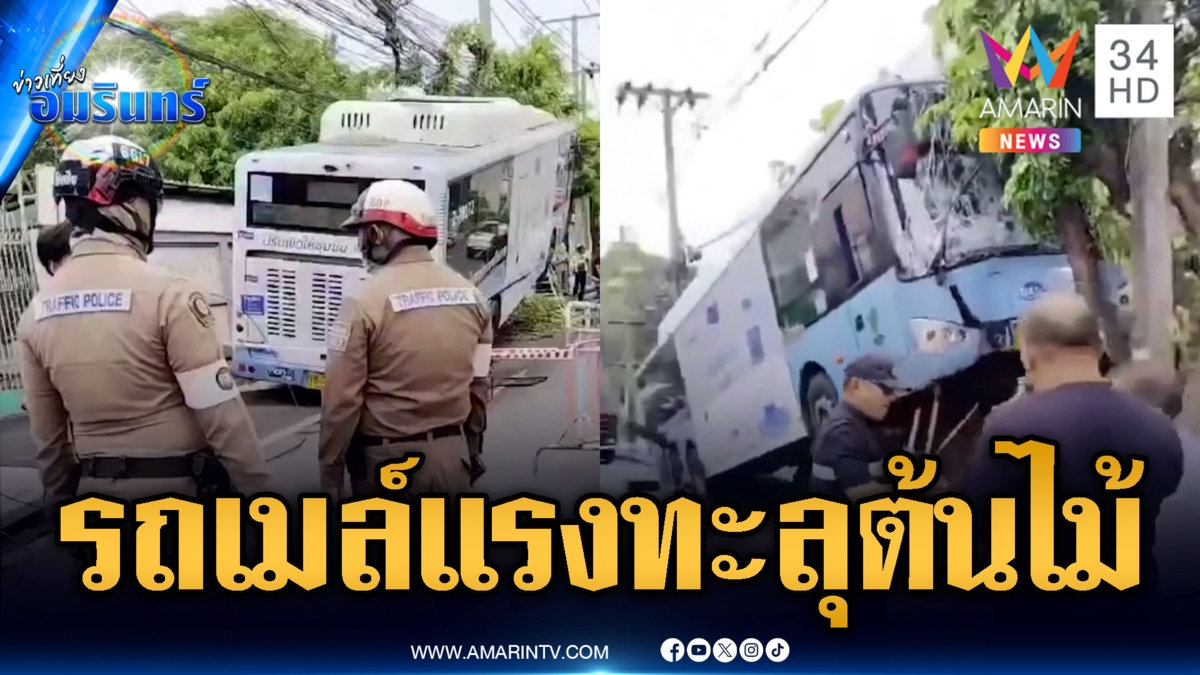 รถเมล์ชนต้นไม้หักโค่น เจ็บนับ 10 ราย