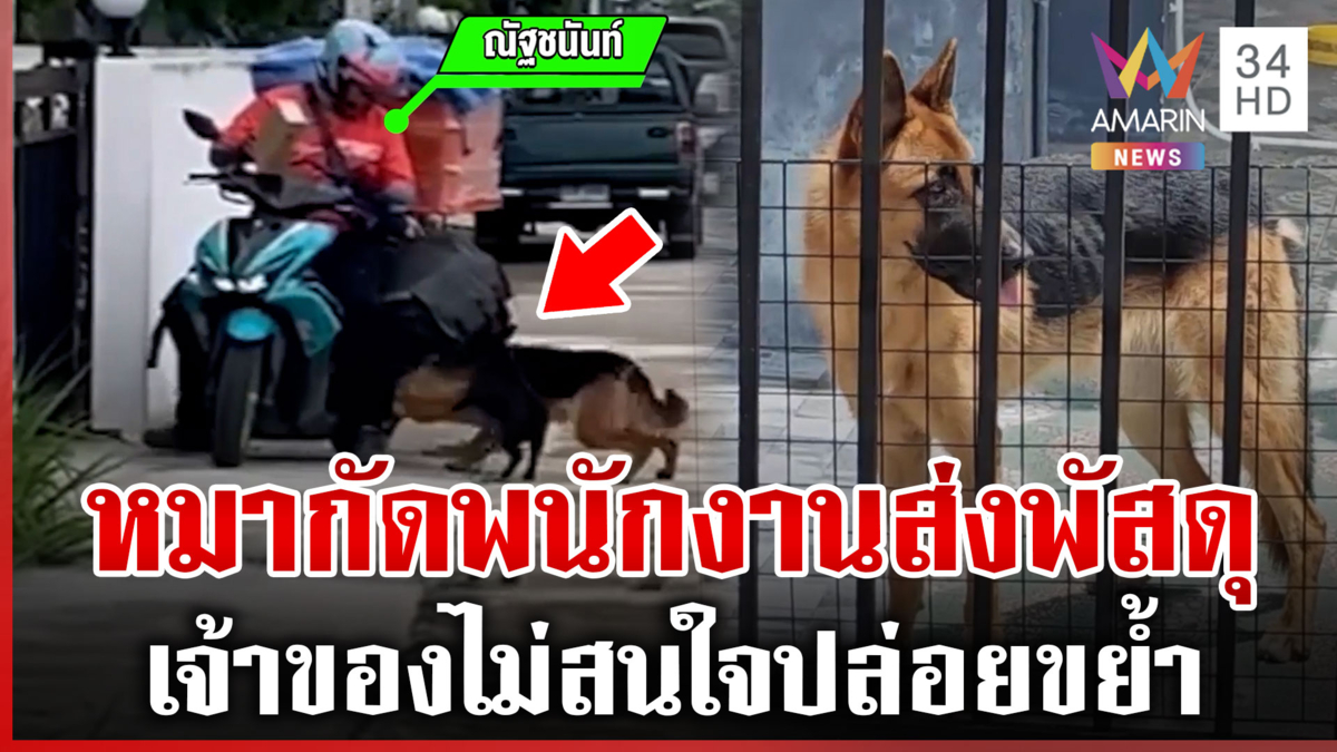 ผวา!  พนังงานส่งพัสดุเจอสุนัขขย้ำขณะมาส่งของ แฉเจ้าของไม่สนใจ