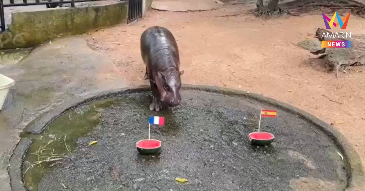 "หมูเด้ง" ฟันธง! เลือก 2 ทีม เข้ารอบชิงนะเลิศ ศึกฟุตบอลโลก 2026