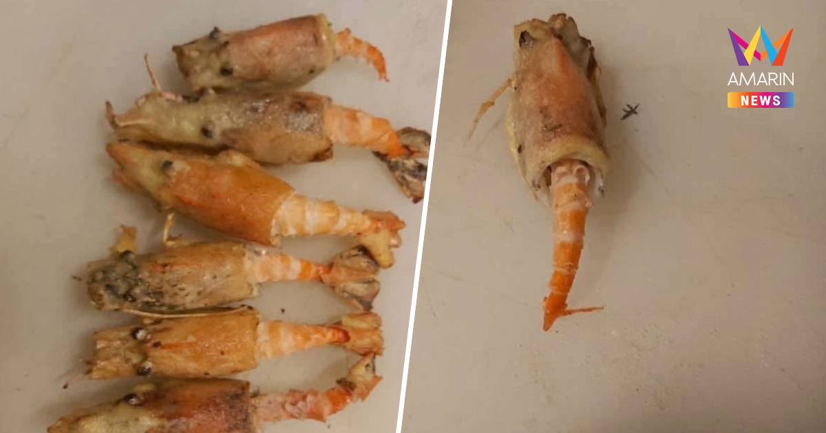 เฉลยดราม่ากุ้งเผาเนื้อหด! ที่แท้คือ "กุ้งโก๋" หัวโตตัวลีบ ย่างแล้วแฟบ