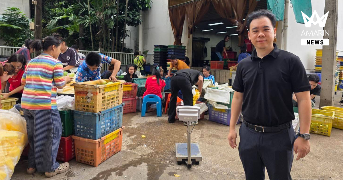 อ.ต.ก. ตรวจเข้มคุณภาพมะม่วงก่อนส่งออกญี่ปุ่น ดันผลไม้ไทยมาตรฐานสากล สร้างความเชื่อมั่นผู้บริโภค