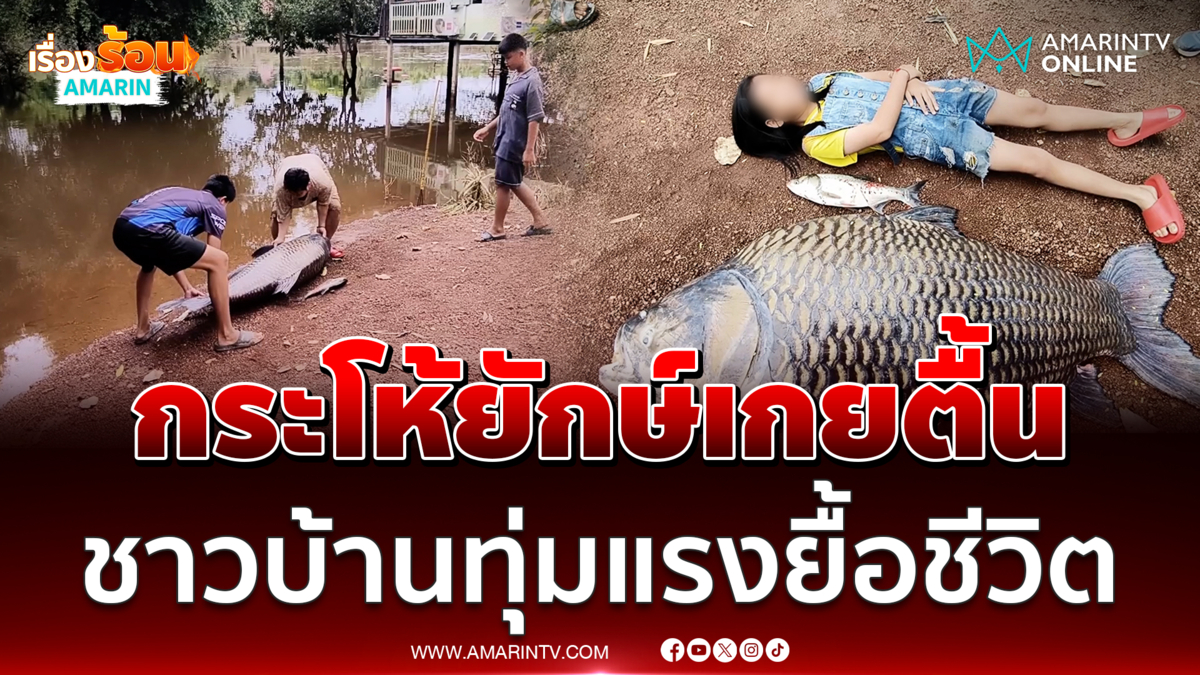 กระโห้ยักษ์เกยตื้น ชาวบ้านทุ่มสุดแรงยื้อชีวิต 