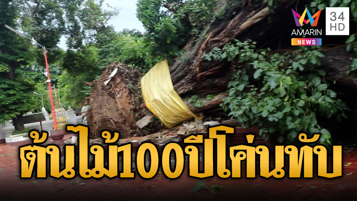 ต้นโพอายุ 100 ปีหักโค่นทับศาลาพังยับ อึ้งเพิ่งปิดศูนย์แค่ 1 วัน