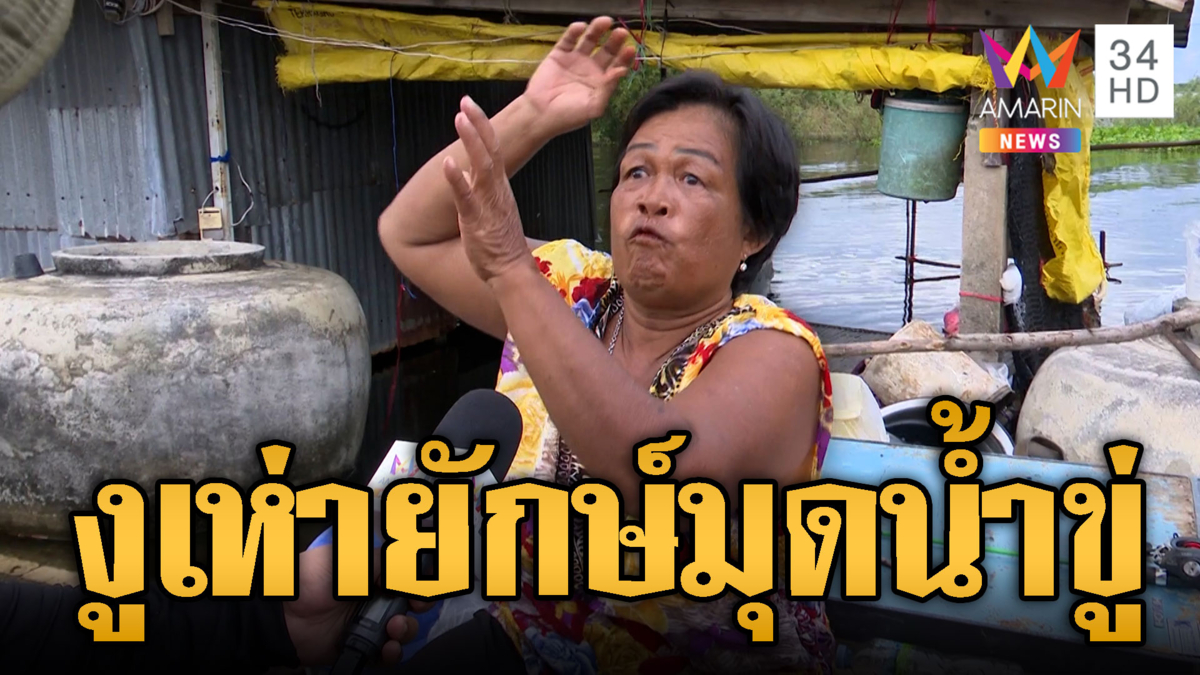 ป้าผวางูเห่าตัวยักษ์โผล่ชูคอขู่ หลังจมน้ำนาน 15 วัน