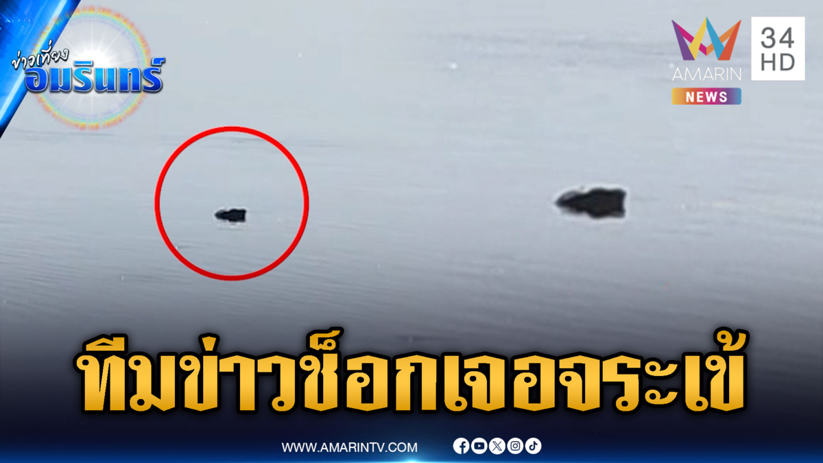 ทีมข่าวอมรินทร์เจอกับตัว จระเข้โผล่ใกล้ๆ