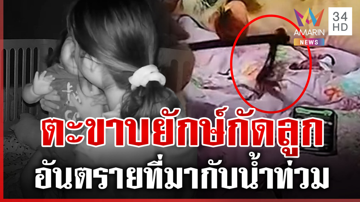 ภัยร้ายน้ำท่วม ตะขาบยักษ์ขึ้นบ้านกัดลูกร้องลั่น แม่แทบขาดใจ