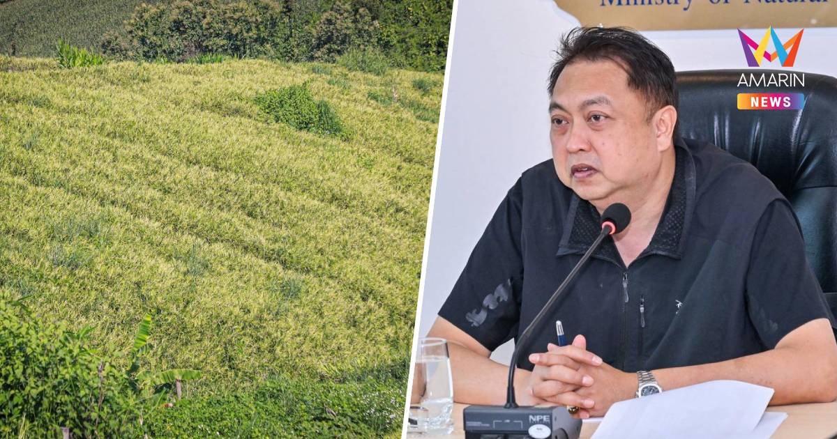 "สุชาติ" สั่ง ป่าไม้ แจงปมรื้อแปลงขิงไชยปราการ 258 ไร่ ล่าคนบุกรุก