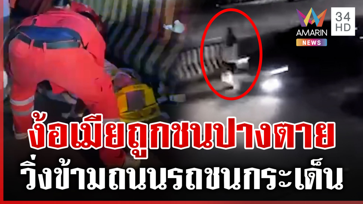 ผัวเมียทะเลาะเดือด! เมียวิ่งข้ามถนน ผัวตามง้อถูกชนสาหัส
