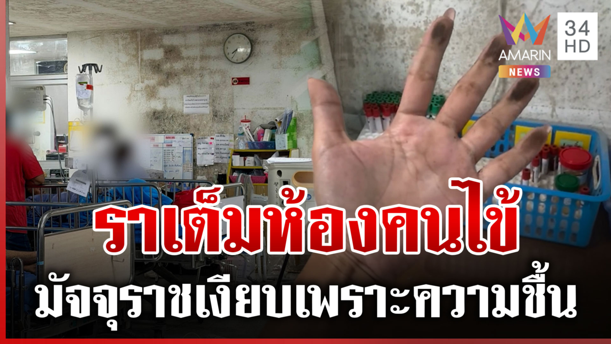 ผอ.รพ.เพชรบูรณ์น้อมรับผิด! ชี้ฝ้าขึ้นราดำห้องผู้ป่วย เพราะความชื้นสะสม