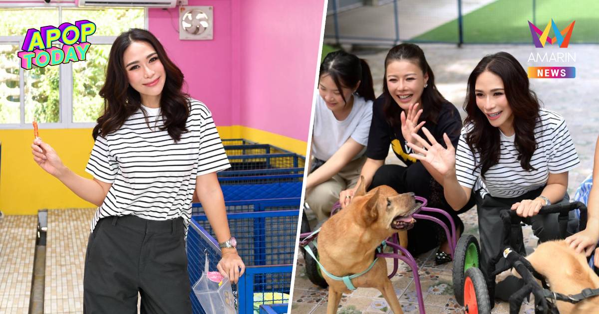 สวยใจบุญ! “พลอย เฌอมาลย์” ส่งต่อพลังการให้ มอบทุนดูแลสัตว์ป่วยไร้บ้าน
