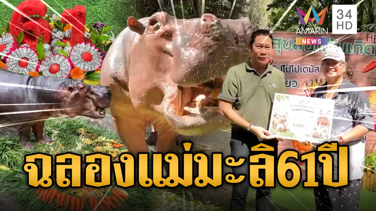 ฉลองวันเกิดปีที่ 61! “แม่มะลิ” ฮิปโปโปเตมัสอาวุโสที่สุดในไทย