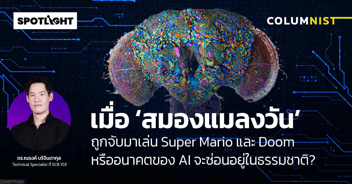 เมื่อ ‘สมองแมลงวัน’ ถูกจับมาเล่น Super Mario และ Doom