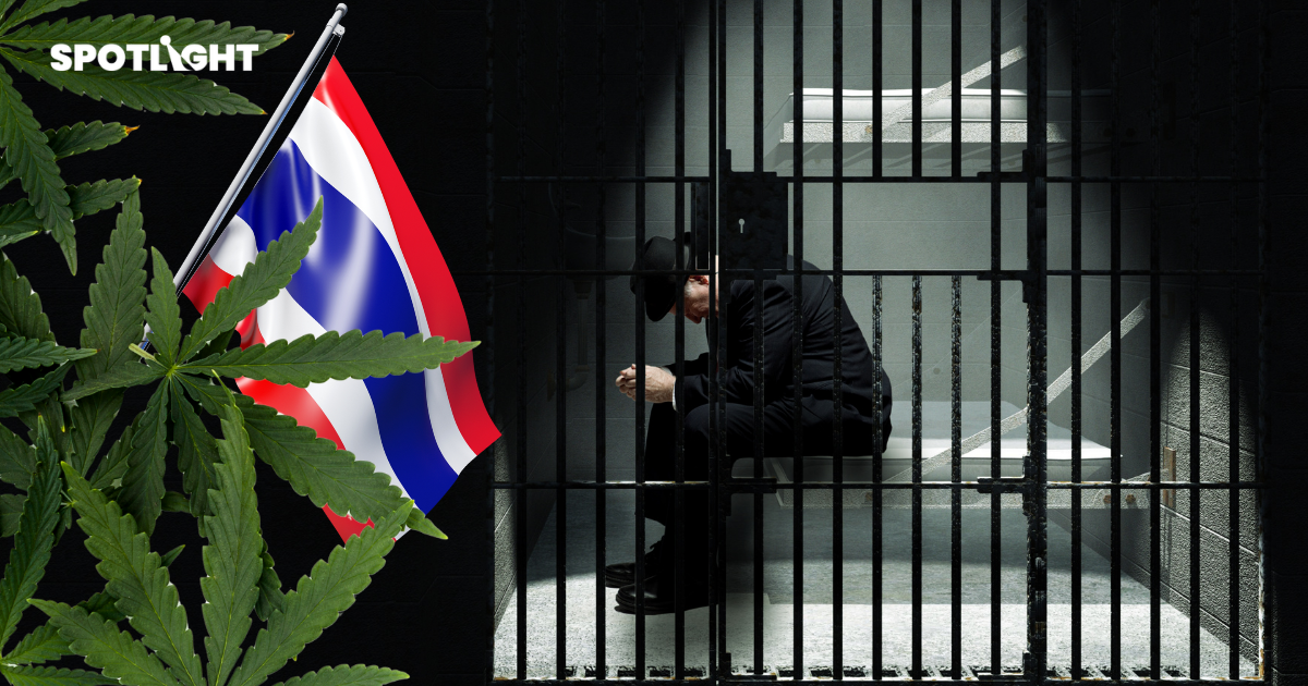 พลเมือง UK ขนยาจนถูกจับพุ่ง 4 เท่า คดีส่วนใหญ่เชื่อมโยงกับ ‘กัญชาไทย’