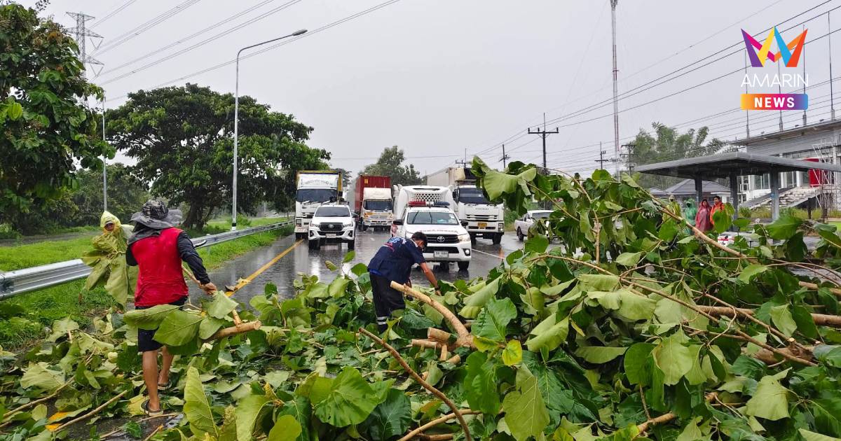 พายุฝนถล่มพะเยา  ลมกระโชกแรง กิ่งต้นสักหักขวางถนน