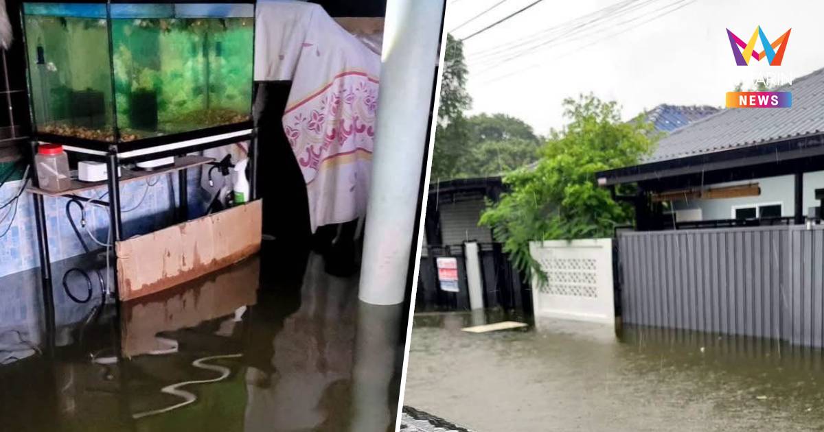 วิกฤต! เคหะธานี 4 ซอย 44 น้ำท่วมสูงถึงเอว วอนขอเสบียงช่วยผู้พิการ