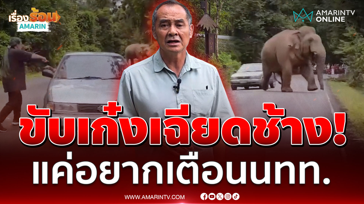 หวั่นเกิดอันตราย! เปิดอีกมุมปัดขับเก๋งเฉียดช้างเจ้าถิ่น"งาทอง-ต้นกล้า"