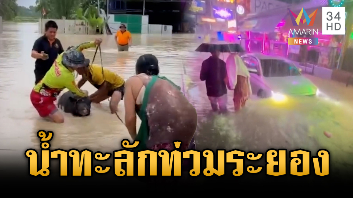 น้ำทะลักท่วมระยอง! หมู 7 ตัวหวิดตาย-น้ำกัดเซาะถนนถล่ม