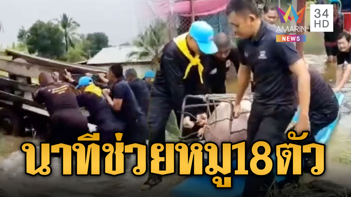 ทหารพรานลุยน้ำท่วมสูง ช่วยหมู 18 ตัว