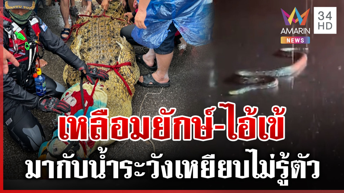 ทั้งเหลือมยักษ์-ทั้งไอ้เข้ โผล่มากับน้ำท่วม