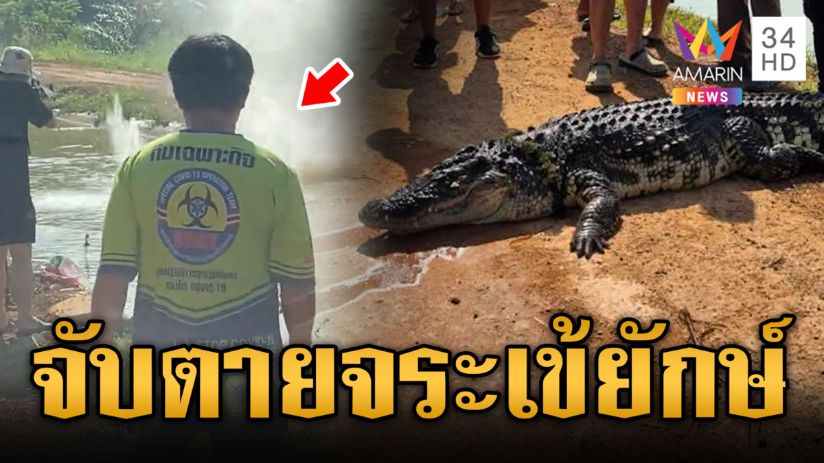 น้ำท่วมจระเข้ยักษ์โผล่! สุดท้ายต้องจับตาย