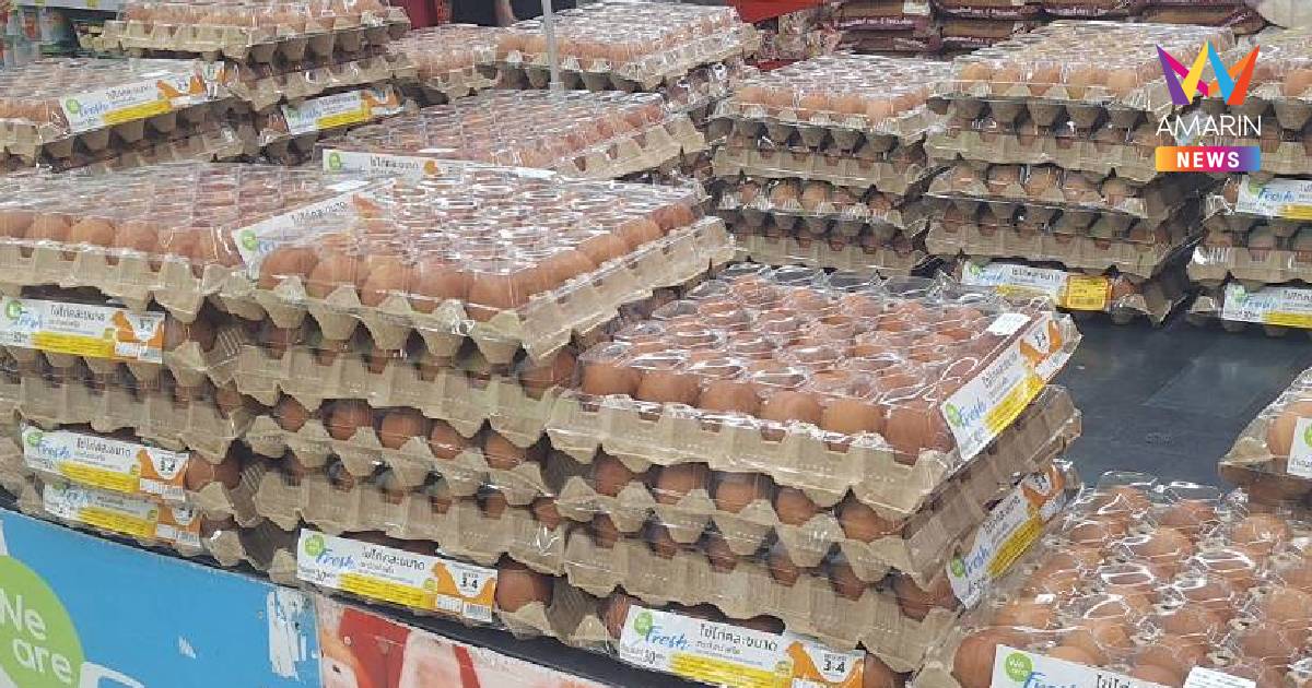 พาณิชย์สั่งเบรกส่งออก-ตรึงราคาไข่ไก่หลังน้ำท่วมไก่จมน้ำตายเพียบ