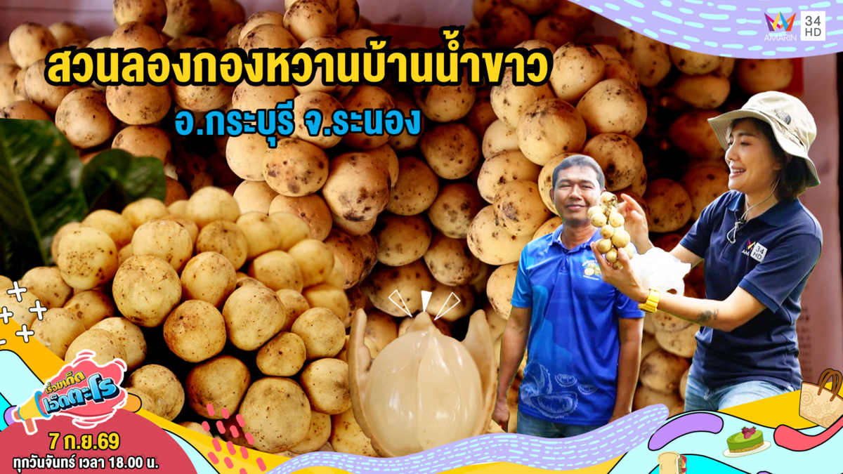 สวนลองกองหวานบ้านน้ำขาว อ.กระบุรี จ.ระนอง