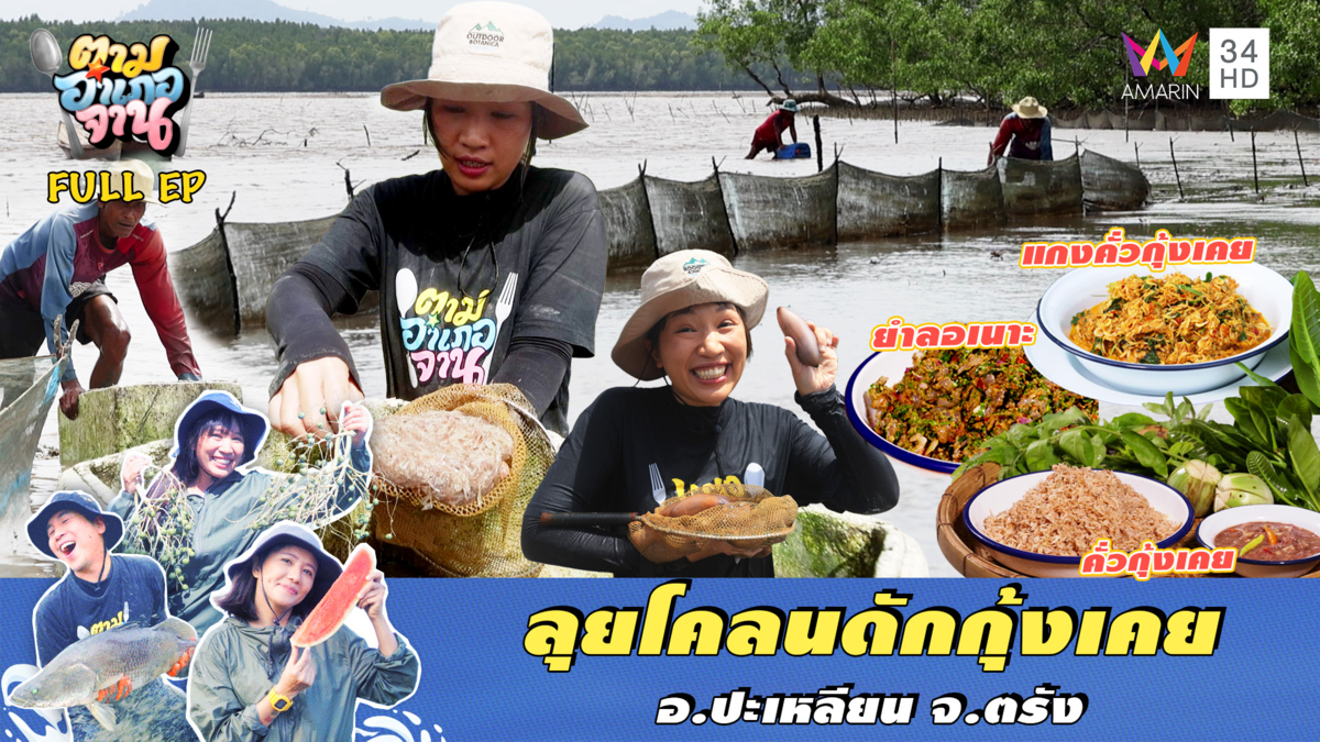 ลุยโคลนดักกุ้งเคย อ.ปะเหลียน จ.ตรัง