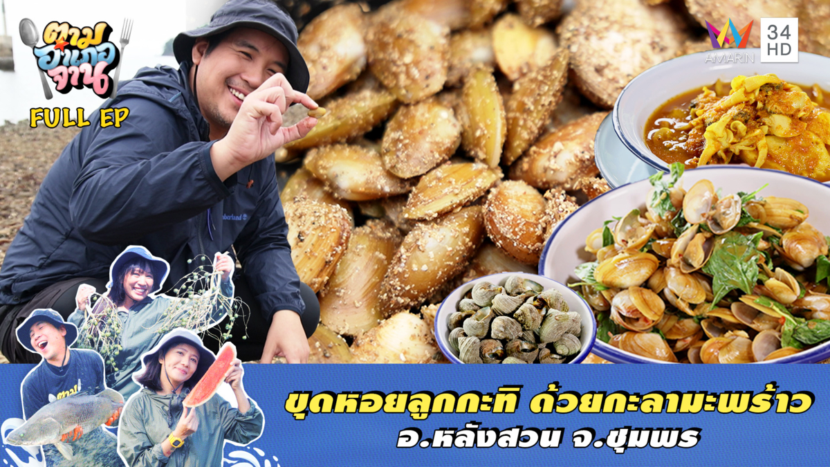 กะลาใบเดียวก็เฟี้ยวได้! ขุดหอยลูกกะทิ วิถีพื้นบ้านสุดม่วน จ.ชุมพร