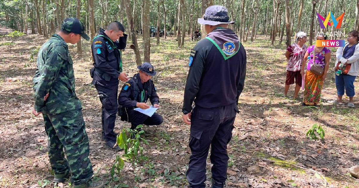 อีกแล้ว!ช้างป่าโผล่สวนยางท่าตะเกียบ ไล่ทำร้ายแรงงานสาวเจ็บหนัก