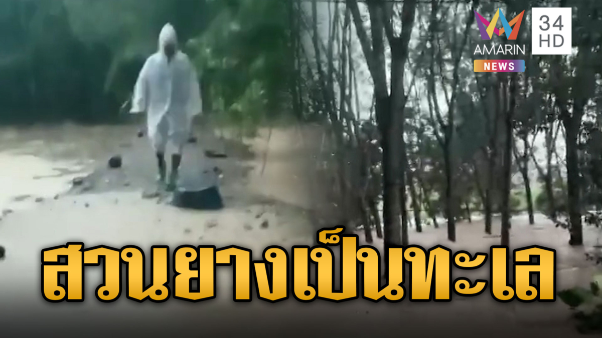 ฝนตกเขย่าขวัญ น้ำป่าหลากฉะเชิงเทรา สวนยางกลายเป็นทะเล