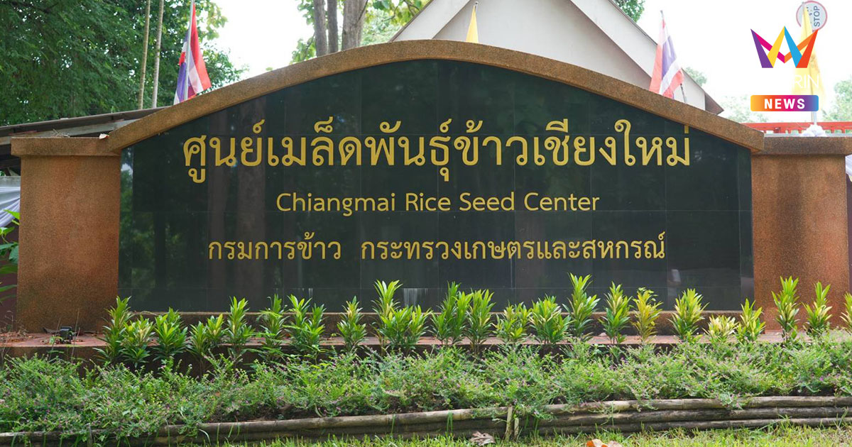 ศูนย์พันธุ์ข้าวเชียงใหม่ นำร่องยกมาตรฐานข้าวลำพูน หนุนคาร์บอนต่ำ