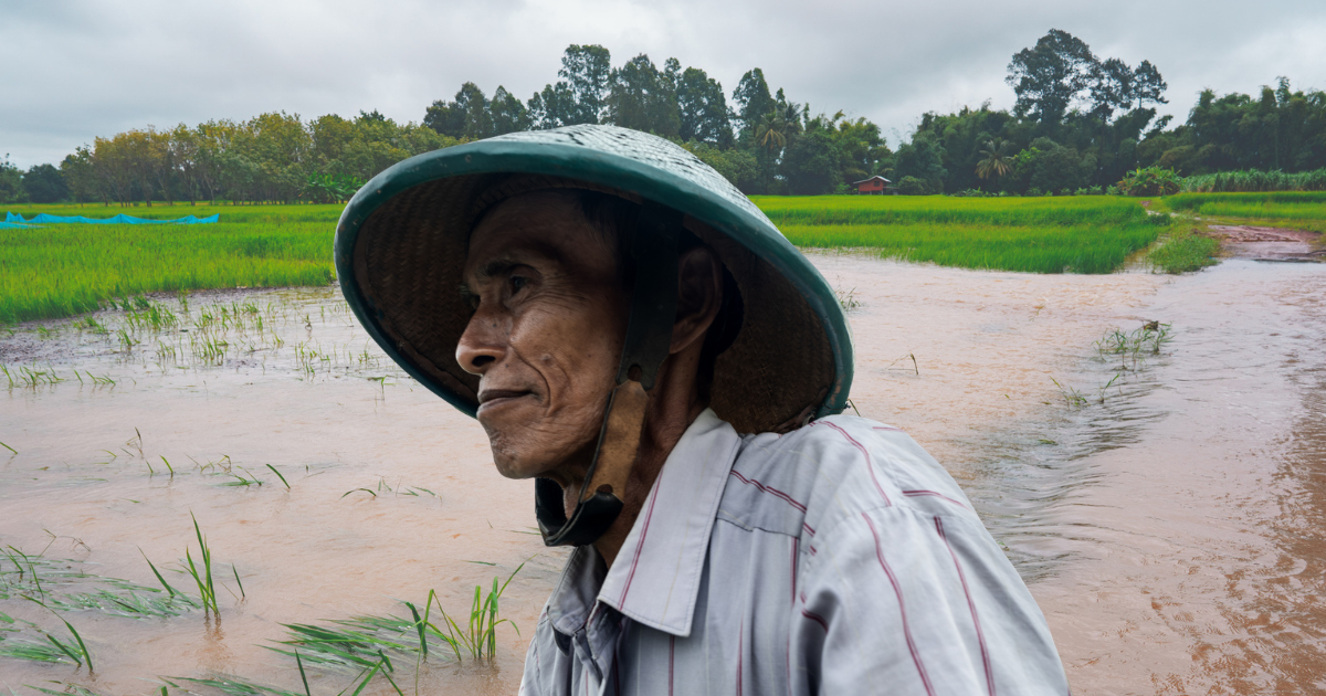 น้ำท่วมซัดนาข้าว 1.5 ล้านไร่ เสียหายจ่อแตะ 1.2 หมื่นล้าน ข้าวแพงขึ้น