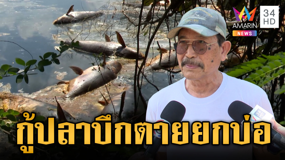 เปิดสาเหตุน้ำท่วมปลาบึกตายยกบ่อ จนท.เก็บกู้ซากฝังกลบ
