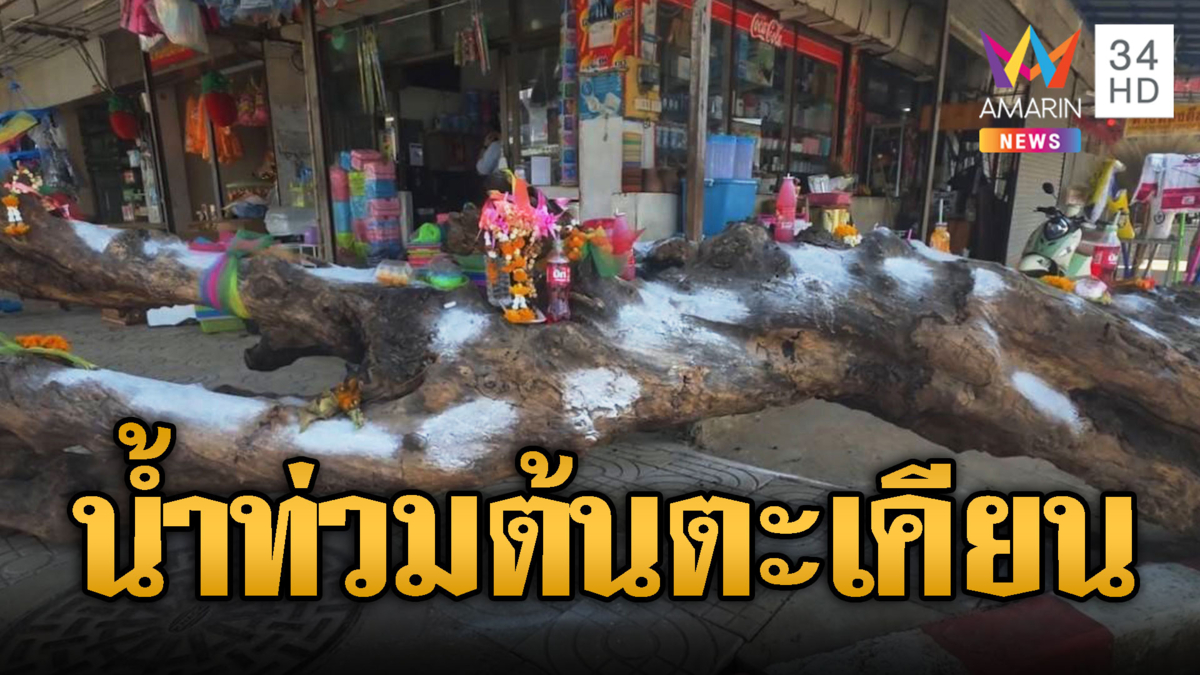 ชาวบ้านเห็นแล้วอึ้งน้ำท่วมพัดต้นตะเคียน แห่จุดธูปเลขเด็ด