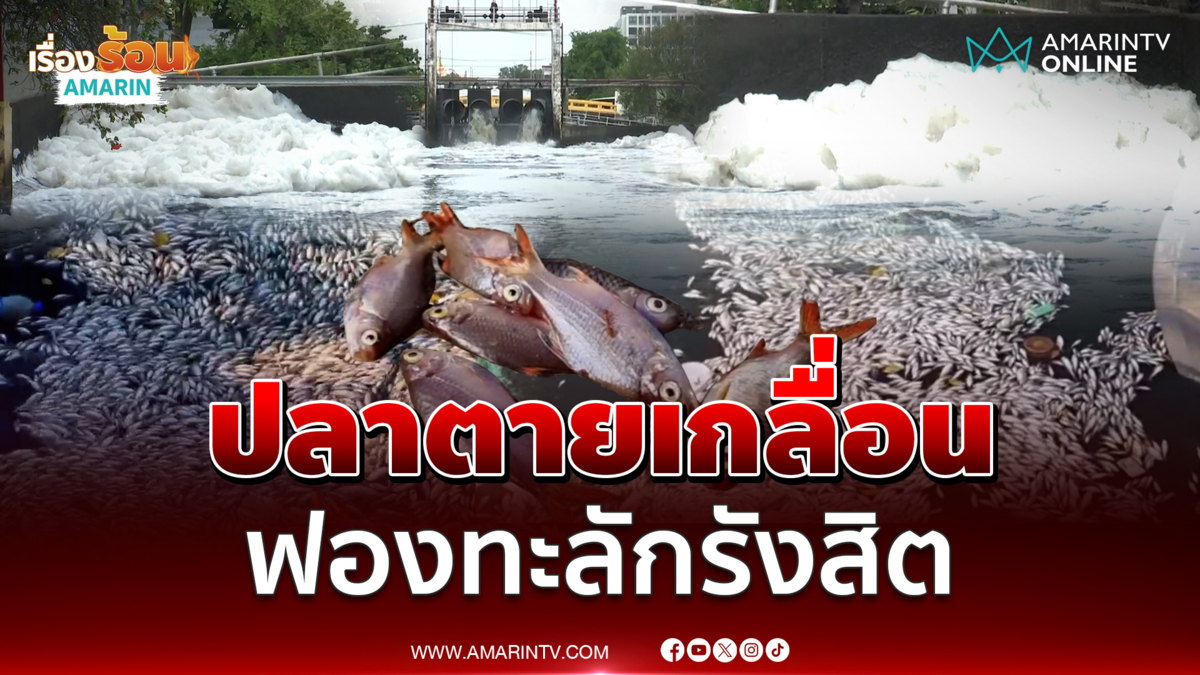 ปลาตายเกลื่อน ฟองทะลักรังสิต